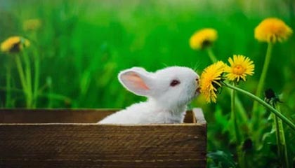 【意甲】劳塔罗打破僵局 国米客场1比1平亚特兰大